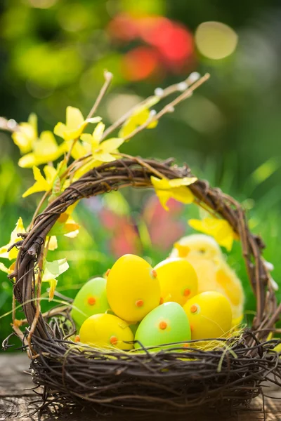 篮子里的复活节彩蛋 — 图库照片