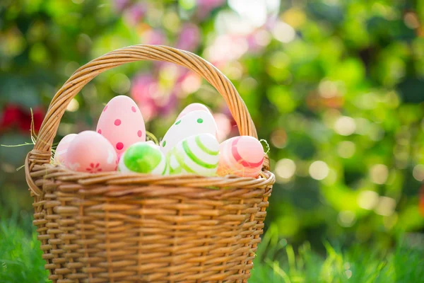 Easter eggs on green grass — Stock Photo, Image