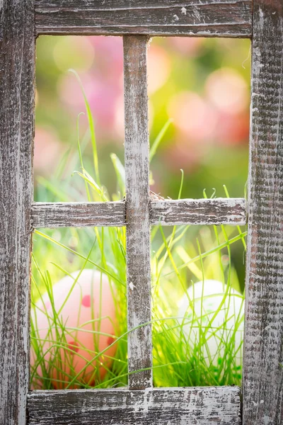Paaseieren op groen gras — Stockfoto