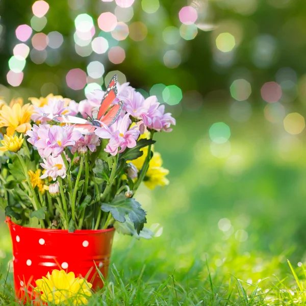 Flores de primavera — Foto de Stock