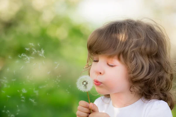 Niño feliz soplando diente de león —  Fotos de Stock