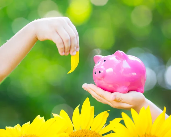 Piggybank and leaf in hands — Stock Photo, Image