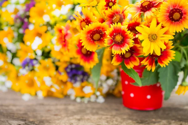 Frühlingsblumen — Stockfoto