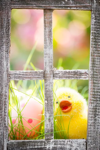 Ovos de Páscoa na grama verde — Fotografia de Stock