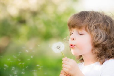 Happy child blowing dandelion clipart