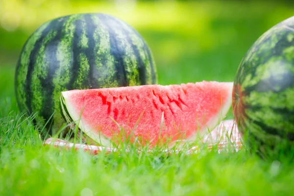 Watermelon — Stock Photo, Image