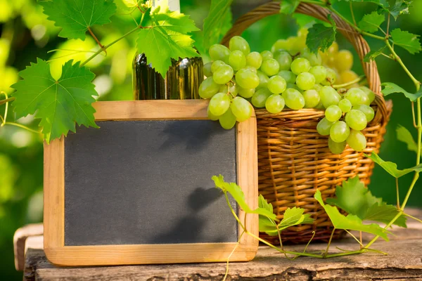 Bunch of white grapes in basket and blackboard — Stock Photo, Image