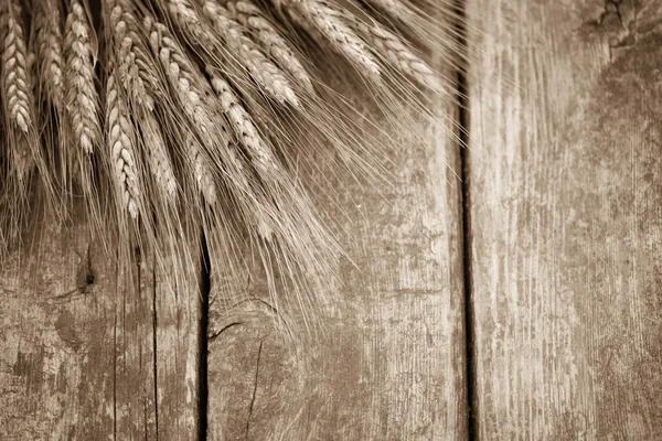 Wheat on wood — Stock Photo, Image