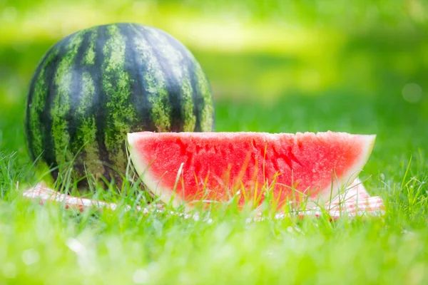 Watermelon — Stock Photo, Image