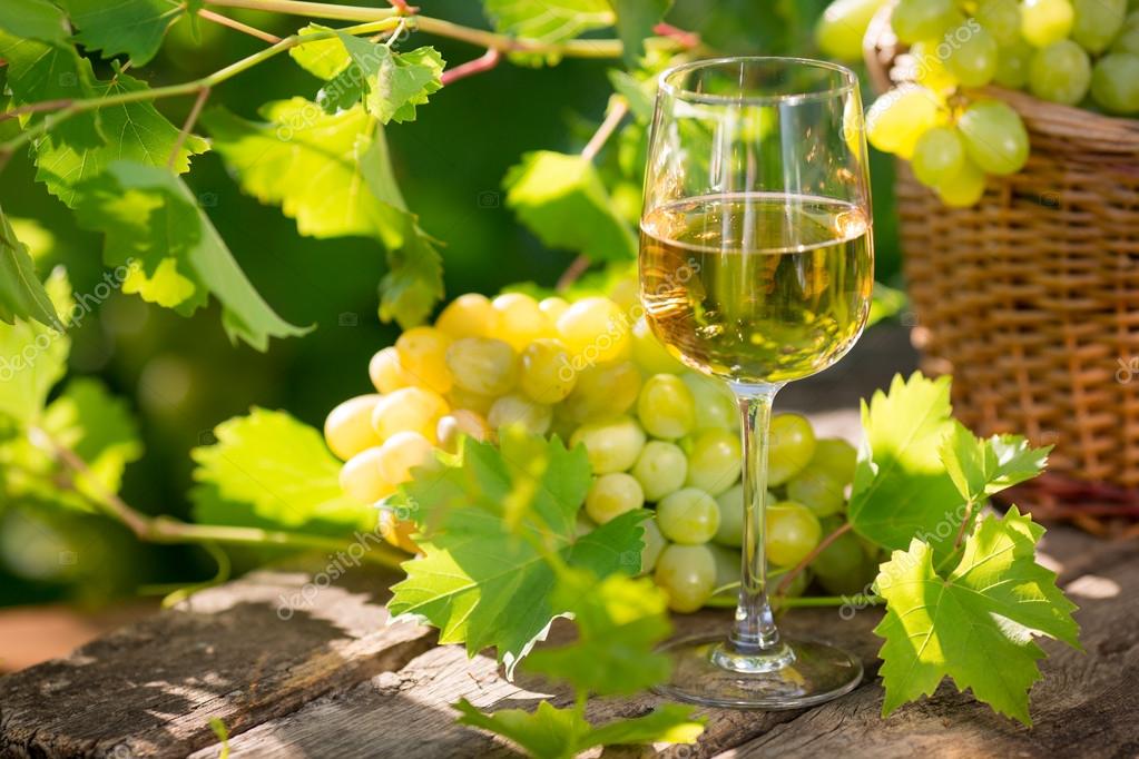 White wine in glass — Stock Photo © Yaruta 42609317