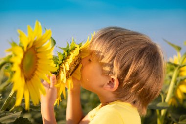 Mutlu çocuk bahar ayçiçeği tarlasında eğleniyor. Mavi gökyüzü arka planında bir çocuğun açık hava portresi