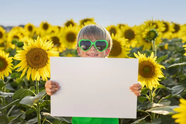 快乐的孩子在春天的向日葵地里玩得很开心 在蓝天背景下拿着纸的孩子 — 图库照片