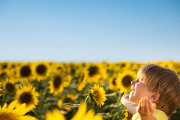 Glückliches Kind Das Spaß Frühlingsfeld Der Sonnenblumen Hat Außenporträt Eines — Stockfoto