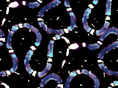 Aspid Pürüzsüz Düzen. El çizimi Aspid Deseni. Proton Mor Elapidae Yakın plan. Afrika Safari Deri Çizimi. Yılan Derisi Parmak izi. Zehirli Ejder Taklidi.