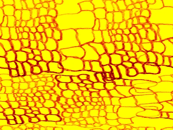 Αποτυπώματα Δέρματος Θηραμάτων Απομίμηση Δέρματος Δράκου Χειροποίητο Μοτίβο Κροκοδείλου Alligator — Φωτογραφία Αρχείου