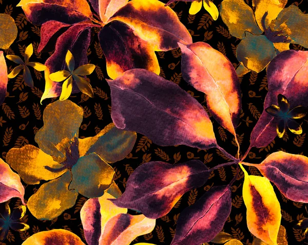 Schefflera Arboricolaシームレスなパターン 植物水彩プリント 黄色と黒の常緑多肉植物エキゾチックな花を持つワライゾン Schefflera Actinophylla Hayata繰り返されるオーナメント — ストック写真