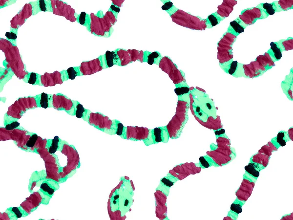 Handritat Aspidemönster Aspid Sömlösa Mönster Elapidae Närbild Bakgrund Snake Skin — Stockfoto