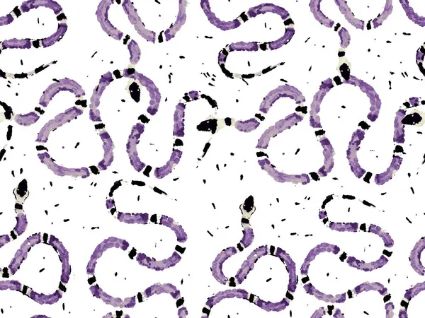 Elapidae Крупним Планом Фон Безшовний Візерунок Протон Фіолетовий Змія Шкіра — стокове фото