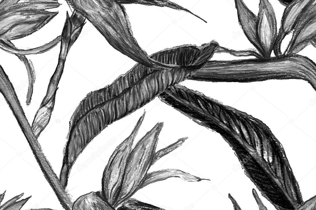 Bird of Paradise Seamless Pattern for Swimwear. Black and White Bird-of-Paradise Spring-Summer Tile Tropical Leaf Background. Large Polynesia Floral Print. Strelitzia Feminine Exotic Design. 