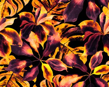 Schefflera Arboricola Kusursuz Düzen. Schefflera Aktinophylla Hayata Tekrarlanan Süslü Botanik Suluboya Yazısı. Evergreen Variegated Walisongo Bitkisi ve Egzotik Çiçekler. Sarı ve Siyah