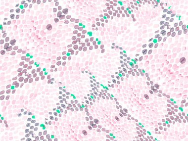 Geo Symmetric Ikat Rapport. Yılan Derisi Rastgele Doku. Suluboya Etnik Tasarım. Yaz Rhombus Arkaplanı. Canlı Geometrik Mayo Kalıbı. Etnik Kusursuz Desen.