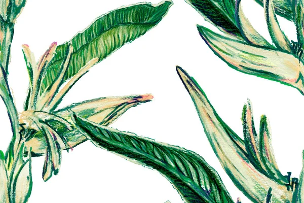 楽園の鳥水着のためのシームレスなパターン ティール グリーン ストレリッツァ フェミニンエキゾチックなデザイン 熱帯の葉の背景 大きなポリネシアの花のプリント パラダイスの鳥春 夏のタイル — ストック写真