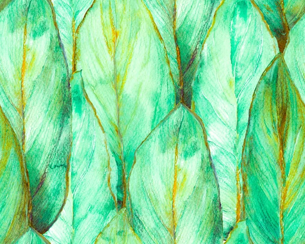 Schefflera Arboricola Seamless Pattern Verde Teal Schefflera Actinophylla Hayata Ornamento — Foto de Stock