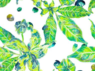 Suluboya Turuncu Çiçek ve Yapraklar. Biyo Jasmin Kusursuz Şablon. Çiçek Ayurveda deseni. Yaz Vintage Arkaplanı. Yeşil ve Aqua Menthe Vibrant Sakura ve Jasmine Print.