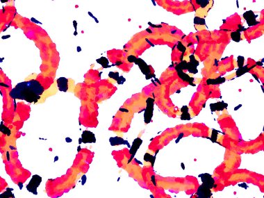 Elapidae Kapanış Arkaplanı. El çizimi Aspid Deseni. Afrika Safari Deri Çizimi. Aspid Pürüzsüz Düzen. Kızıl Yılan Derisi Parmak izi. Zehirli Ejder Taklidi.