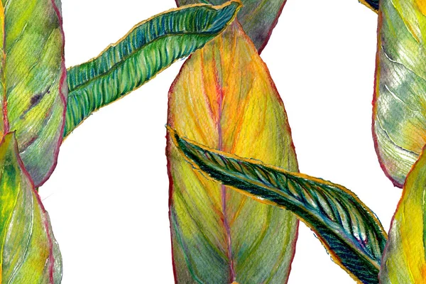 Птица Рая Бесшовная Модель Купальников Tal Green Red Tropical Leaf — стоковое фото