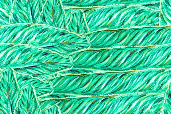 Bird Paradise Seamless Pattern Swimwear Teal Green Strelitzia Feminine Exotic — Stock Photo, Image