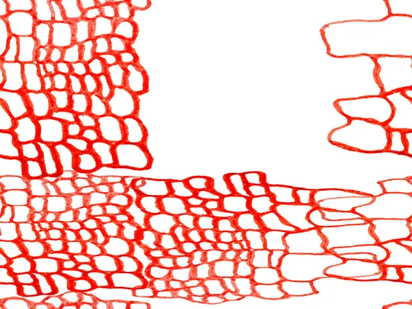 Alligator Closeup Achtergrond Crimson Red Hand Drawn Crocodile Pattern Afrika — Stockfoto