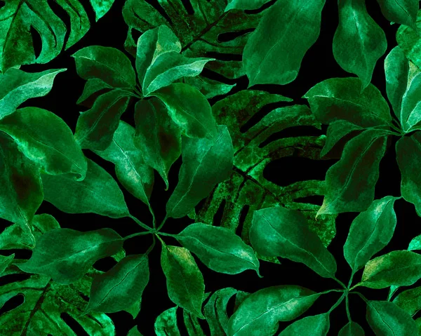 Schefflera Arboricola Seamless Pattern Green Teal Evergreen Variegated Walisongo Plant — 图库照片