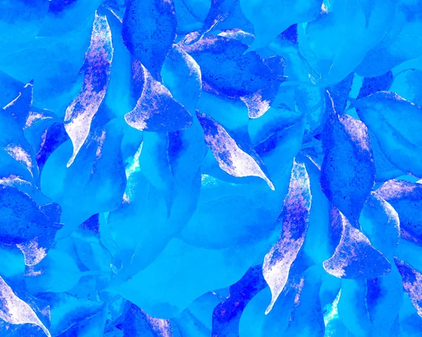 Schefflera Arboricola Kusursuz Düzen. Mavi ve İndigo Botanik Suluboya Baskı. Evergreen Variegated Walisongo Bitkisi ve Egzotik Çiçekler. Schefflera Aktinophylla Hayata Tekrarlanan Süs