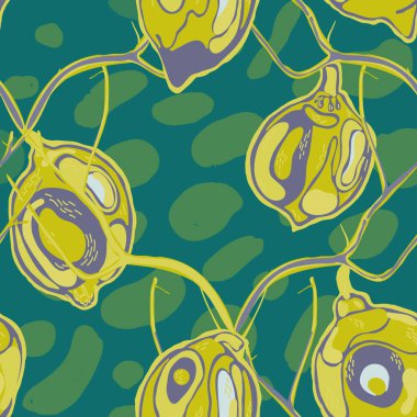 Limonsuz desen. Psikedelik Citron Motifi. Yeşil ve Gri Modern El Çizim Arkaplanı. Basit İşaretli Kireç. Botanik Çizimi. Vektör Summer Citrus Yazdırma.