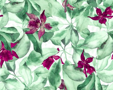 Schefflera Arboricola Kusursuz Düzen. Botanik Suluboya Yazdırma. Yeşil ve Teal Schefflera Aktinophylla Hayata Tekrarlanan Süs Değişen Egzotik Çiçekli Walisongo Bitkisi.