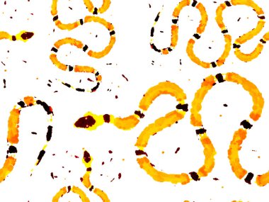 Aspid Pürüzsüz Düzen. Elapidae Kapanış Arkaplanı. El çizimi Aspid Deseni. Altın sarısı Afrika Safari Deri Çizimi. Yılan Derisi Parmak izi. Zehirli Ejder Taklidi.