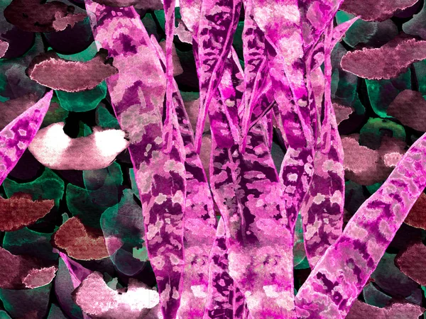 Aquarelrozen Pioenrozen Bladeren Naadloos Patroon Exotisch Zwemmode Ontwerp Botanische Bloemen — Stockfoto