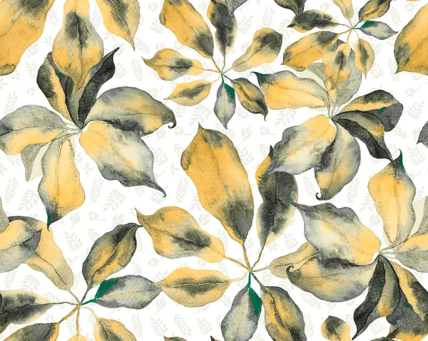 Schefflera Arboricola Seamless Pattern. Schefflera Actinophylla Hayata Repeated Ornament Evergreen Variegated Walisongo Plant with Exotic Flowers. Yellow and Black Botanical Watercolor Print.