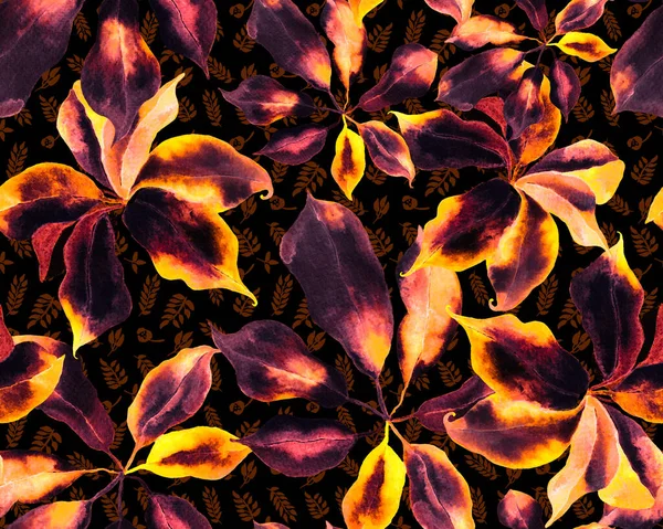 Schefflera Arboricola Seamless Pattern Βότανο Υδατογραφία Εκτύπωση Schefflera Actinophylla Hayata — Φωτογραφία Αρχείου