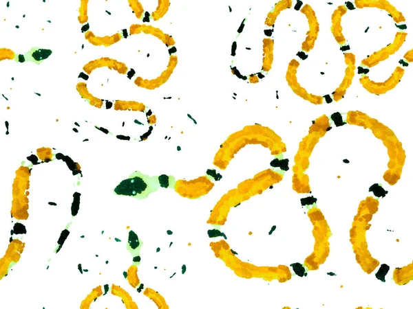 드래곤 흉내내기 손으로 아프리카 사파리 일러스트레이션 Elapidae Closeup Background — 스톡 사진