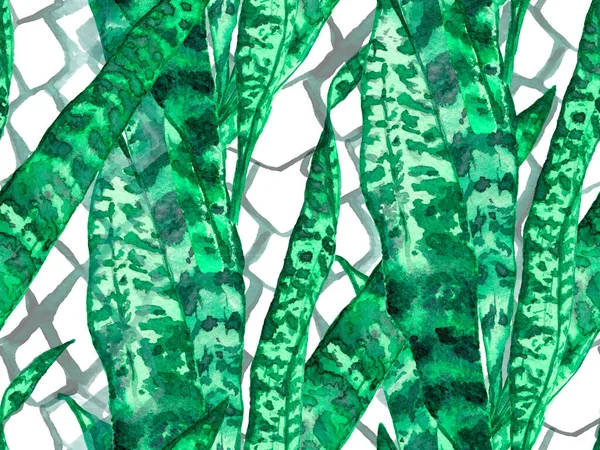 Aquarelrozen Pioenrozen Bladeren Naadloos Patroon Teal Green Red Exotic Swimwear — Stockfoto