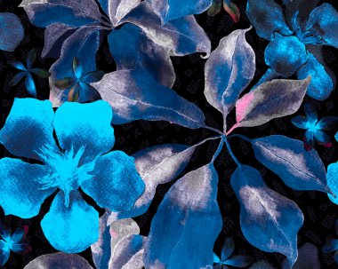 Schefflera Arboricola Kusursuz Düzen. Evergreen Variegated Walisongo Bitkisi ve Egzotik Çiçekler. Mavi ve Indigo Schefflera Aktinophylla Hayata Tekrarlanan Süslü Botanik Suluboya Yazısı.