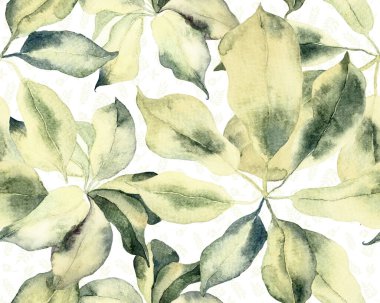 Schefflera Arboricola Kusursuz Düzen. Evergreen Variegated Walisongo Bitkisi ve Egzotik Çiçekler. Green ve Teal Botanik Suluboya Yazdırma. Schefflera Aktinophylla Hayata Tekrarlanan Süs