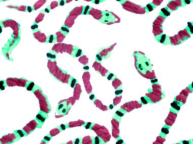 El çizimi Aspid Deseni. Afrika Safari Deri Çizimi. Kızıl Yılan Derisi Parmak izi. Zehirli Ejder Taklidi. Aspid Pürüzsüz Düzen. Elapidae Kapanış Arkaplanı.