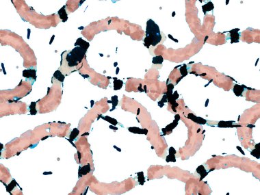 Kırmızı, Aspid, pürüzsüz desen. Afrika Safari Deri Çizimi. Yılan Derisi Parmak izi. Zehirli Ejder Taklidi. Elapidae Kapanış Arkaplanı. El Çizimi Aspid Deseni.