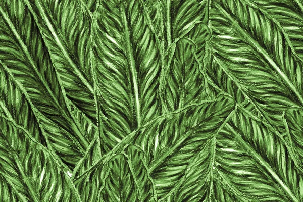 Bird Paradise Seamless Pattern Swimwear Teal Green Tropical Leaf Background — Fotografia de Stock