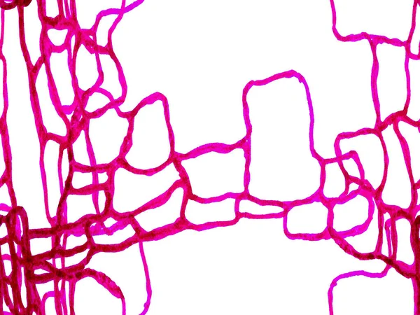 プレデターアニマルスキンプリント ドラゴンスキン模倣 クリムゾンレッドハンドドロークロコダイルパターン アリゲーター閉鎖の背景 ワニのシームレスなパターン アフリカ動物革イラスト — ストック写真