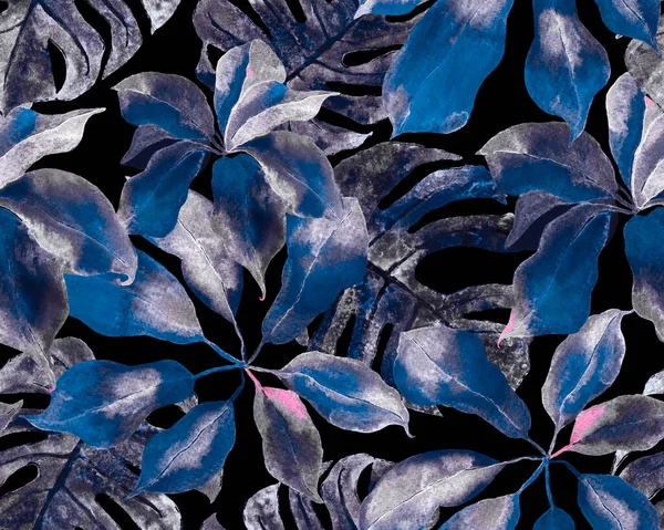 Schefflera Arboricola Kusursuz Düzen. Evergreen Variegated Walisongo Bitkisi ve Egzotik Çiçekler. Schefflera Aktinophylla Hayata Tekrarlanan Süs Mavisi ve İndigo Botanik Suluboya Yazısı.