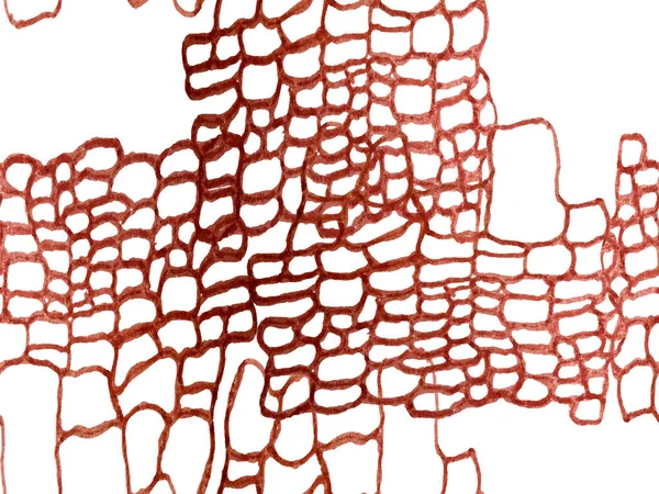 Predator Animal Skin Print Imitasi Kulit Naga Ilustrasi Kulit Hewan — Stok Foto